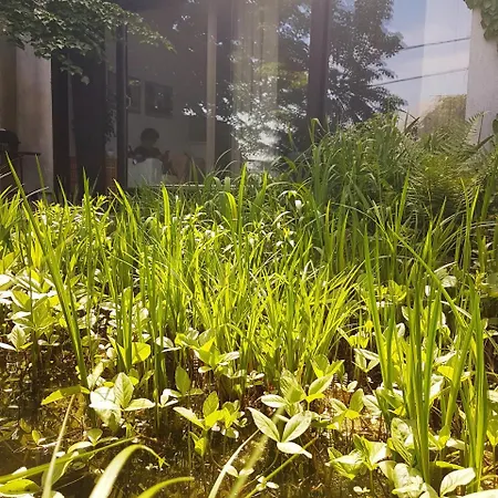 Apartment Breeze Pressburg Exterior foto